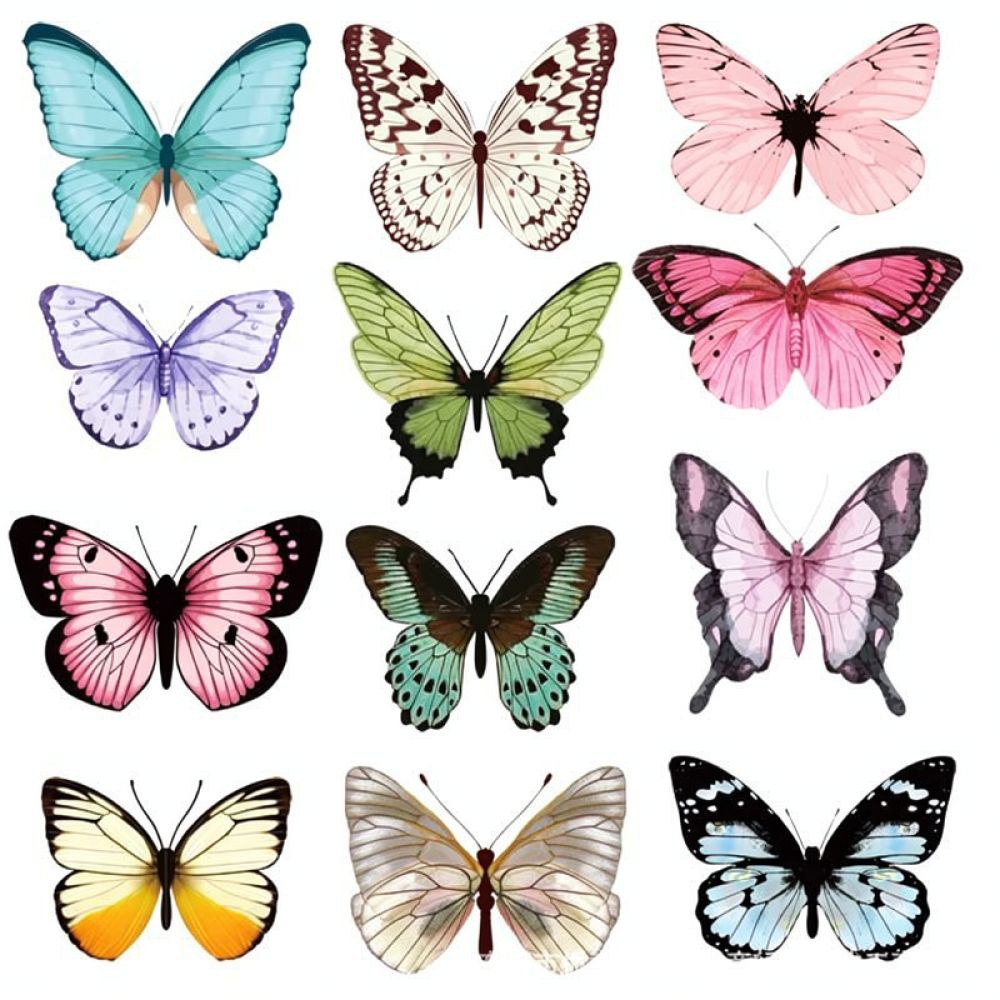 Artificial Butterfly PVC Wall  - Art And Craft For Nursery ulasan dan harga