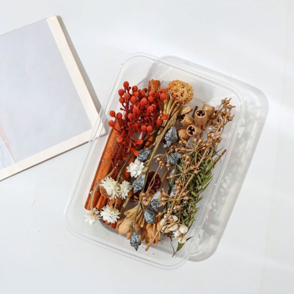 Forest Theme DIY Tissue Paper  - Art Craft With Paper ulasan dan harga